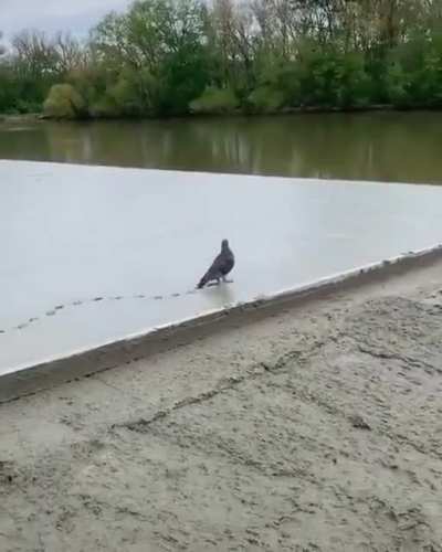 "My work here is done."