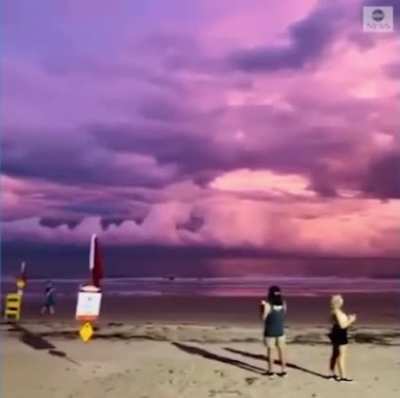 ? Lightning in the purple skies of Port Douglas, Australia