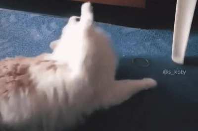 Mistakes were made