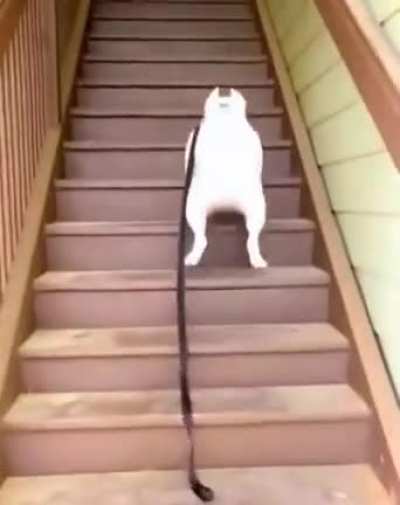 Let’s get this day started