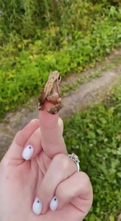 Maybe maybe maybe