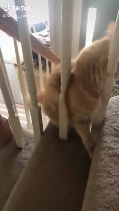 poor floor