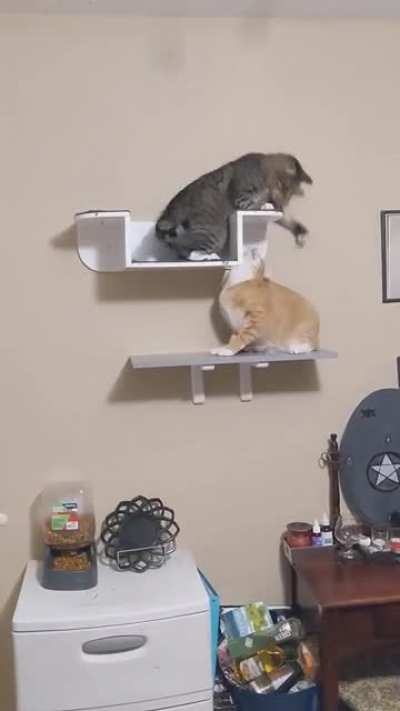 Slaps on a shelf