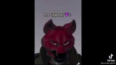 furries are something else