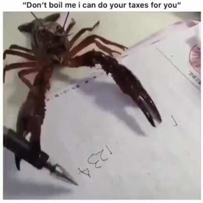 Educated lobster