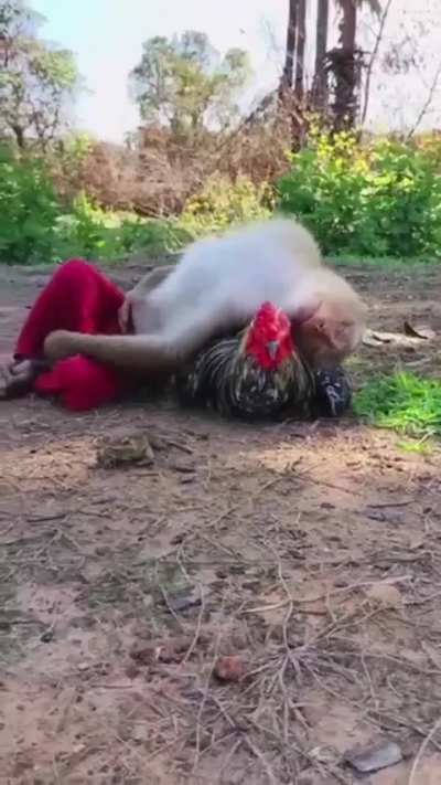 Three unlikely friends spend a few special moments together