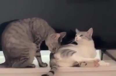 I'm hungry