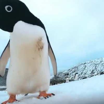 "Hey hello, what is this camera doing here"