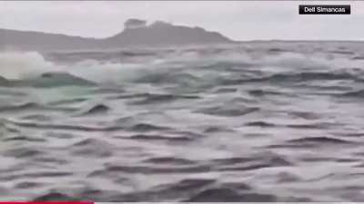 ?A Humpback whale swallows a 24 yr old kayaker off the Strait of Magellen in Chile - then spits him out