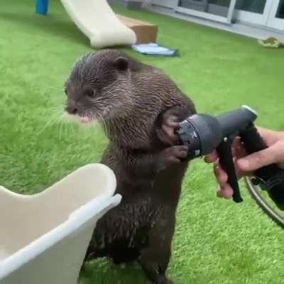 Heyy...don't waste our water.!! My Boss will scold me up 'n down....right 'n left....?? ?day