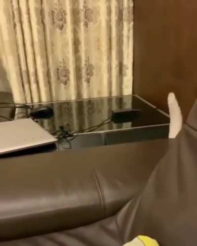 HE SLIPS