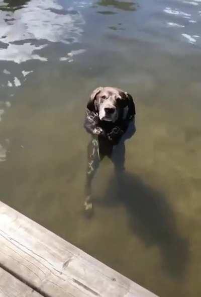 Beautiful day at lake