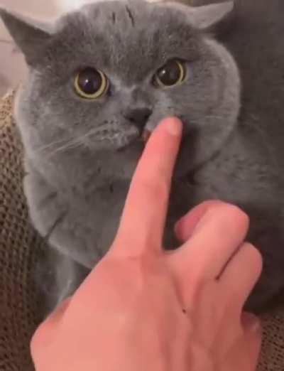 Surprise