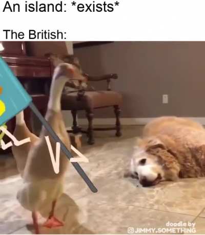 It's our island now!