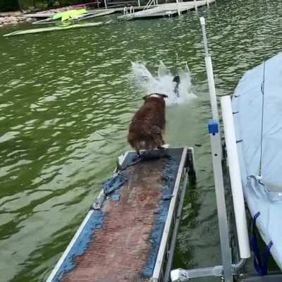 To jump in the lake.