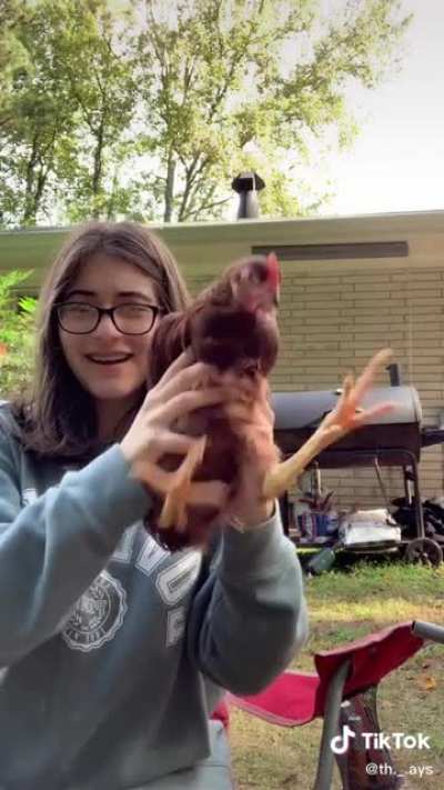 Chicken head stabilisation ?