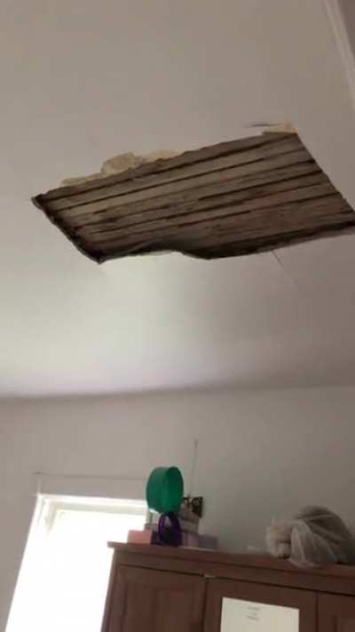 Apparently the ceiling in my apartment identifies as floor