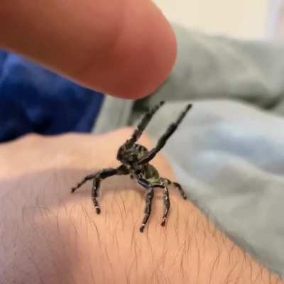 ? This adorable jumper.