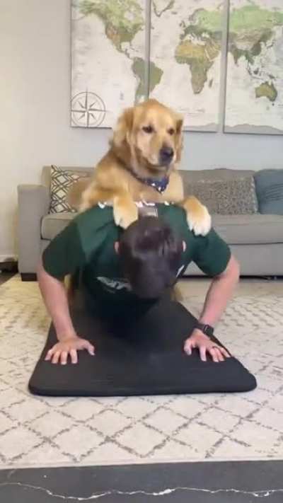 I'll help you dad ??
