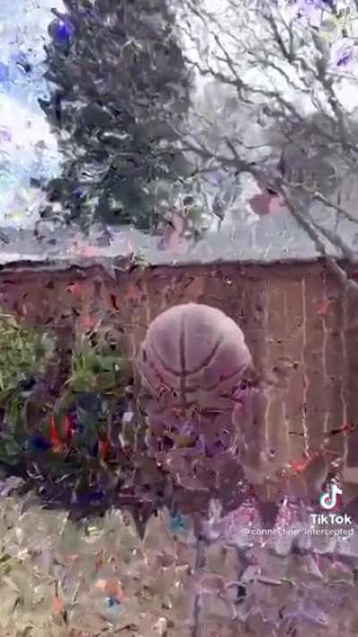 "physics don't apply in my backyard"