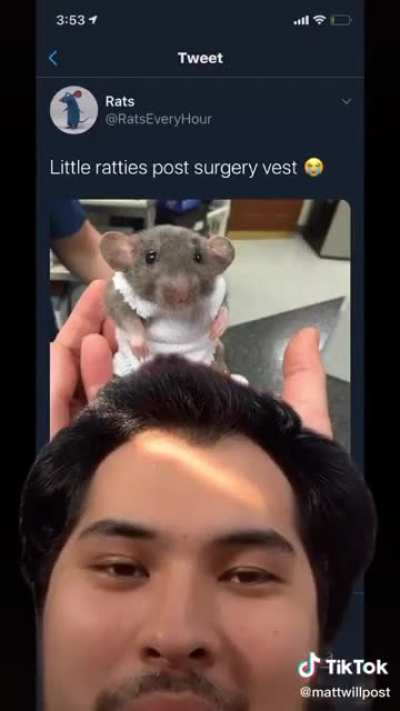rat got da vest