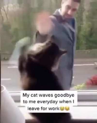 bye bye