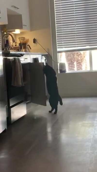 Porter learned a new trick.