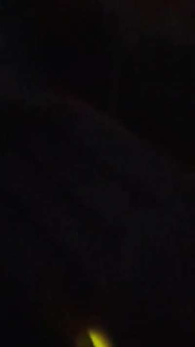 first time seeing a lightning bug ?