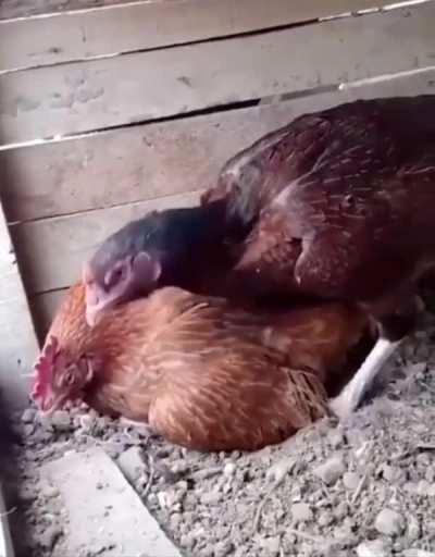 Maybe maybe maybe