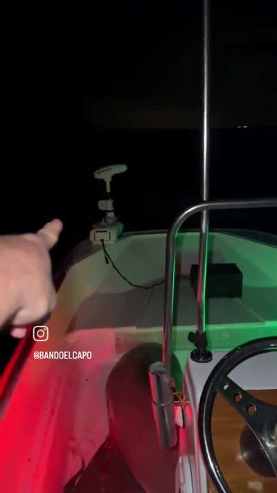 Giant Bull Shark jumps into a boat!