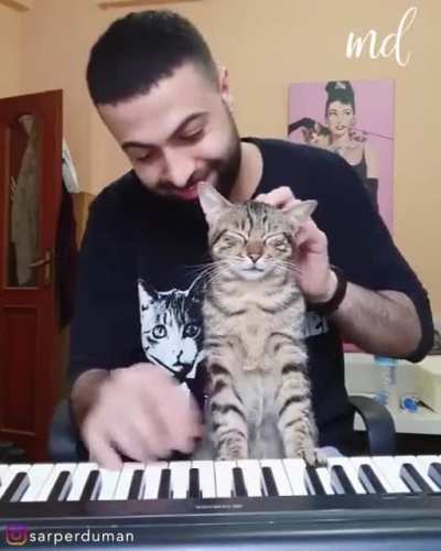 A Lovely Connection