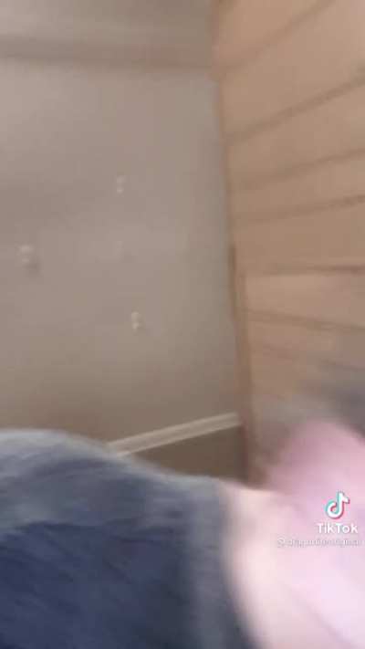 Surprise surprise, tik tok