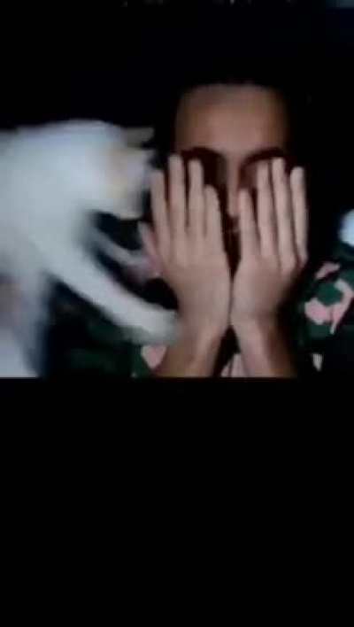 hahaha well a streamer was having a bad time playing horror video games than his cat decided that it is the best time to scare the shit outta him ?