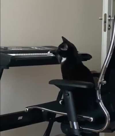 Catzart