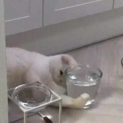 "Catculating the refractive index of water" taps