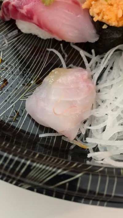 Bought a $90 sushi platter from the best sushi restaurant in town for dinner with friends. This little fella was found dancing on the fish
