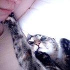 “Don’t worry stupid hooman, I’ll show you the ways of the cuddles. It’s a simple ‘foot on your face, foot on my face’ formula...you sees?”