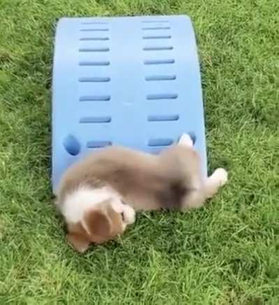 Sliding into Monday