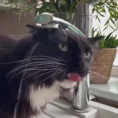 Still thirsty