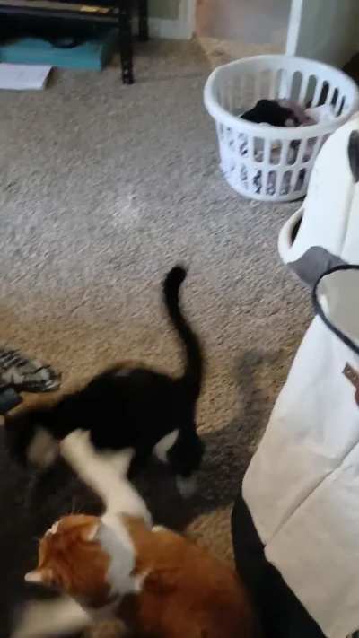 Jacks like, "that's enough"! ?