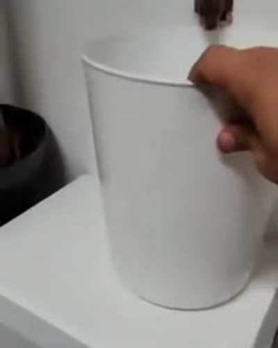 Sneaky Snake-y