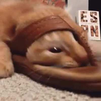 better every loop