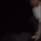 Don’t mess with Pepper the Donkey
