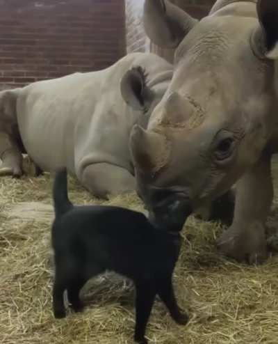 Gentle snuggle