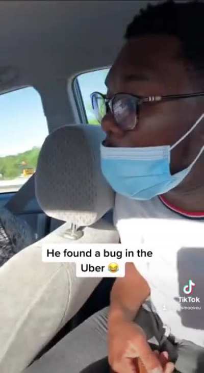 Guy freaks out after finding bug in car ride