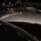 Picking up log