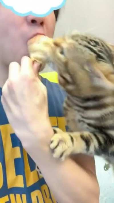 ? ok eat my lunch