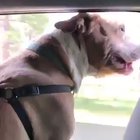 Turn on the sound