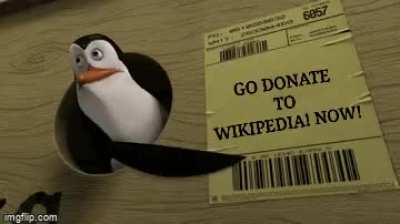 Plz do it!