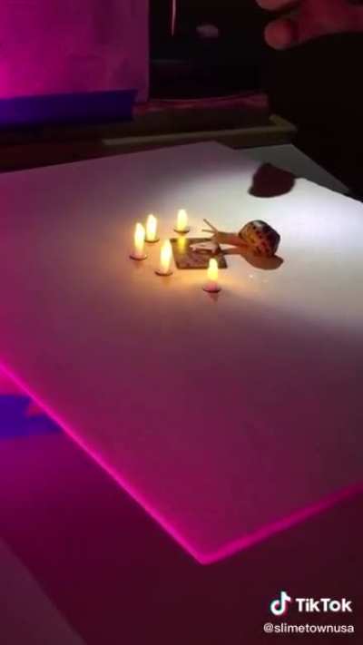A snail uses an ouija board